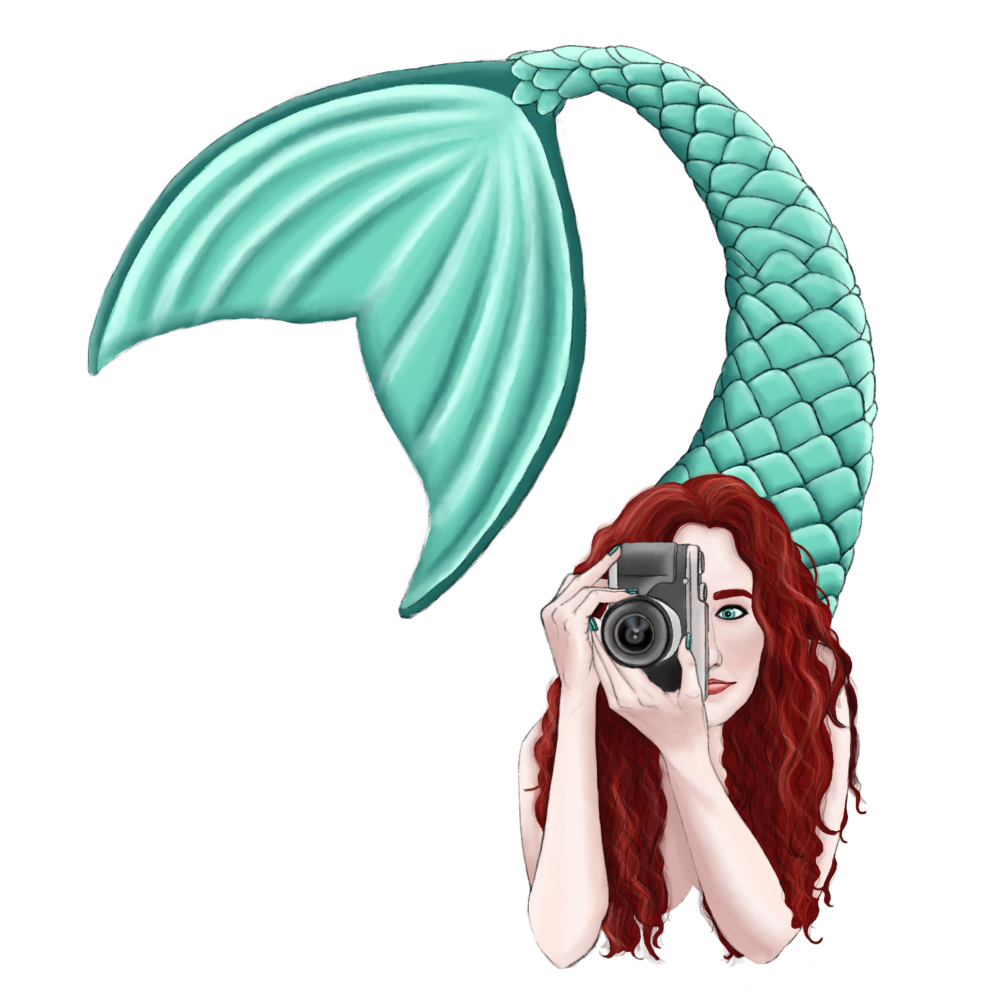 Media Mermaid
